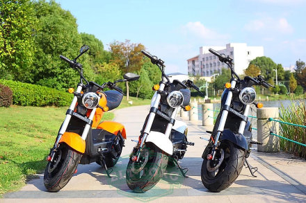 Электроскутер CityCoco Woqu Bike