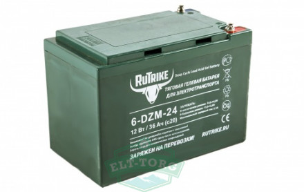 Тяговый гелевый аккумулятор  RuTrike 6-DZM-24 (12V24A/H C2)