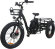 Электровелосипед трехколесный Etrike Rubicon