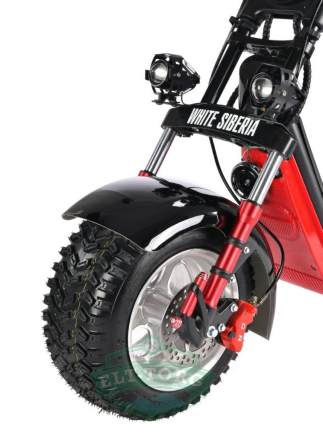 Электроскутер Citycoco WS Pro+ 2500W