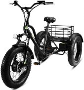 Электровелосипед трицикл ECO-BIKE GRIZZLY M5 20 700W 48V12AH