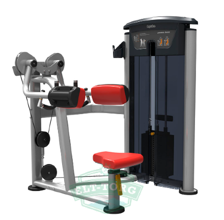 AeroFIT IT9524 дельтовидные 200 ф.