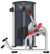 Aerofit IT9532 Разгибание спины