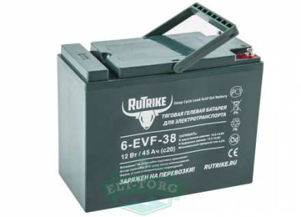 Тяговый гелевый аккумулятор RuTrike 6-EVF-45 (12V45A/H C3)