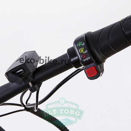 Электровелосипед Elbike Galant Standart 350W Двухцветный зеленый Электровелосипед Elbike Galant Standart 350W Двухцветный зеленый