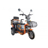 Пассажирский трицикл Rutrike Pass S2