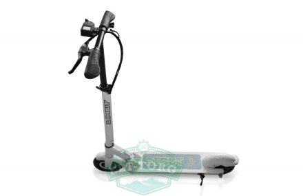 Электросамокат для ребенка Wellness Sambit Stout 350w