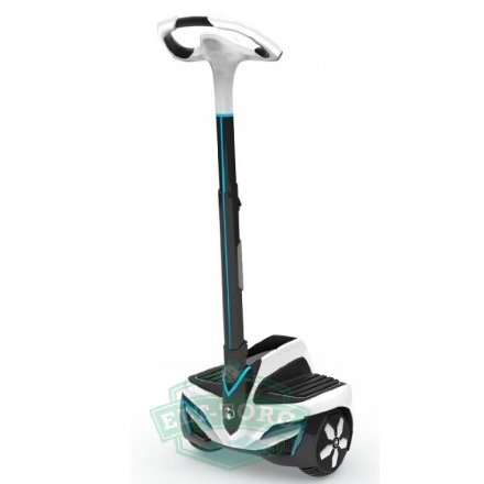 Сегвей Inmotion R1EX 1600W (белый)
