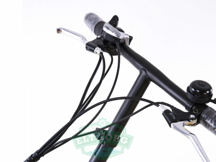 Электровелосипед Elbike Gangstar St 350W