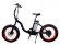 Электровелосипед El-Sport bike TDN-01 500W черный