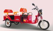 Электротрицикл TaiLG TDL800DQZ-71Z