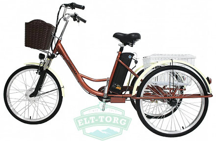 Электровелосипед GreenCamel Трайк-24 (R24 500W 48V 15Ah)