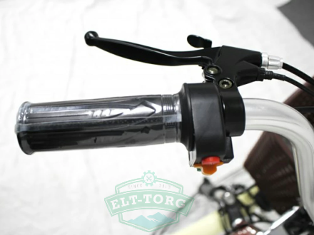Электровелосипед GreenCamel Трайк-24 (R24 500W 48V 15Ah)