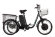 Трицикл GM Porter 750W черный Трицикл GM Porter 750W черный