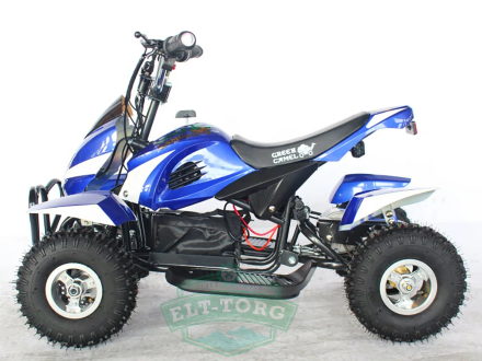 Электроквадроцикл GreenCamel Гоби K12 (24V 350W R4 Цепной привод)