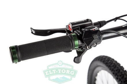 Электровелосипед Benelli Alpan Passion