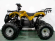 Электроквадроцикл GreenCamel Атакама T220 (48V 1000W R8 Дифференциал)