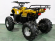 Электроквадроцикл GreenCamel Атакама T220 (48V 1000W R8 Дифференциал)