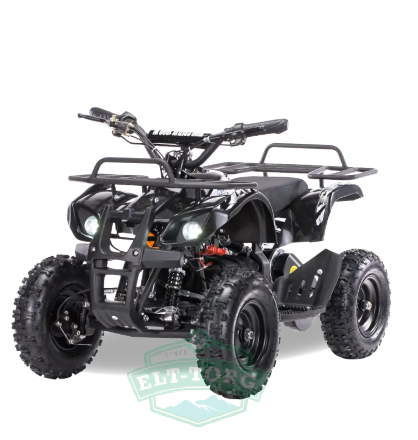 Электроквадроцикл MOTAX ATV Х-16 800W