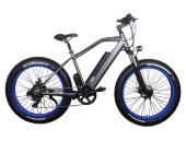 Электровелосипед El-Sport bike TDE-08 500W