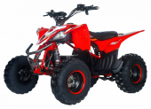 Электроквадроцикл MOTAX E-PENTORA 1500W 