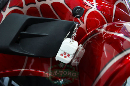 Электроквадроцикл MYTOY 800E 450 W Красный паук