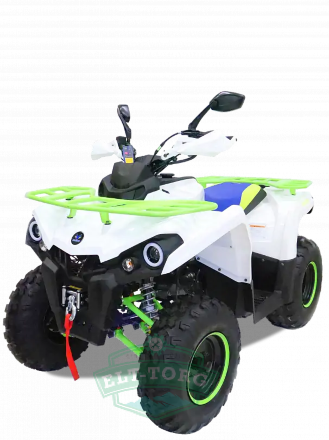 Квадроцикл MOTAX ATV Grizlik 200 New