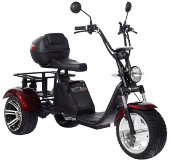 Электроскутер CityCoco SkyBoard Trike BR80