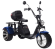 Электроскутер CityCoco SkyBoard Trike BR80