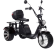 Электроскутер CityCoco SkyBoard Trike BR80
