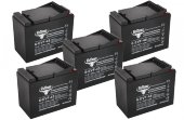 Комплект тяговых гелевых аккумуляторов RuTrike 6-EVF-55 (60V55A/H C3)