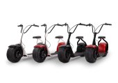 Электросамокат с большим запасом хода EL-Sport Classic Citycoco 1000W (60V/12Ah)
