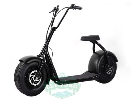 EL-Sport Classic Citycoco 1000W (60V/12Ah) чёрный