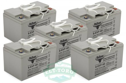 Комплект тяговых гелевых аккумуляторов RuTrike 6-EVF-60 (12V60A/H C3) Комплект тяговых гелевых аккумуляторов RuTrike 6-EVF-60 (12V60A/H C3)