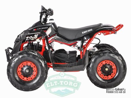 Электроквадроцикл WHITE SIBERIA SNEG R 1500W Электроквадроцикл WHITE SIBERIA SNEG R 1500W