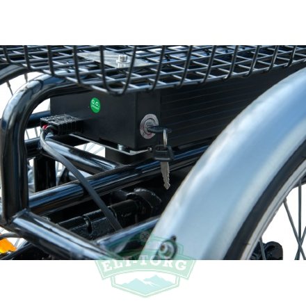 Электровелосипед трехколесный Wellness Fazenda 500w