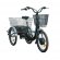 Электровелосипед трехколесный Wellness Fazenda 500w