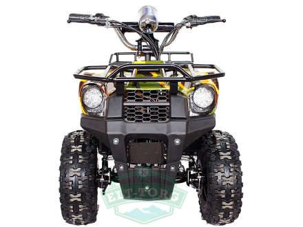 Квадроцикл GreenCamel Гоби K40 (36V 800W R6 Цепной привод)