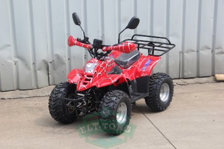 Электроквадроцикл MYTOY 1000E 1000 W Красный паук