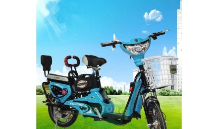 Электровелосипед двухместный E-Toro Les Dacha 350W