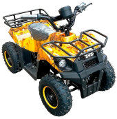 Квадроцикл GreenCamel Гоби K45 (36V 800W R6 Цепной привод)