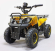 Квадроцикл GreenCamel Гоби K45 (36V 800W R6 Цепной привод)