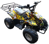Квадроцикл GreenCamel Гоби K70 (36V 800W R7 Дифференциал)