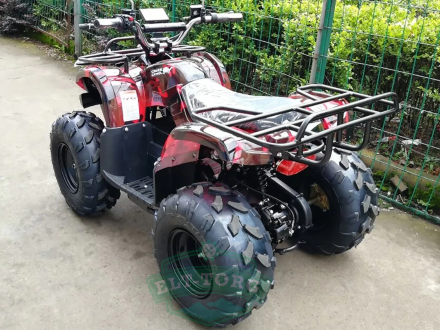 Квадроцикл GreenCamel Атакама T120 (48V 800W R8 Цепной привод)