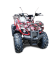 Квадроцикл GreenCamel Атакама T120 (48V 800W R8 Цепной привод)