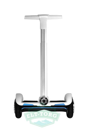 Сигвей Smart Zooter Black 700W