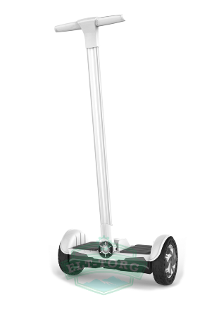 Сигвей Smart Zooter Black 700W