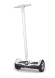 Сигвей Smart Zooter Black 700W