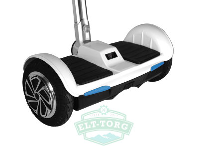 Сигвей Smart Zooter Black 700W