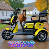 Электроскутер Electrotrike Sibtrike Бумеранг 2000W